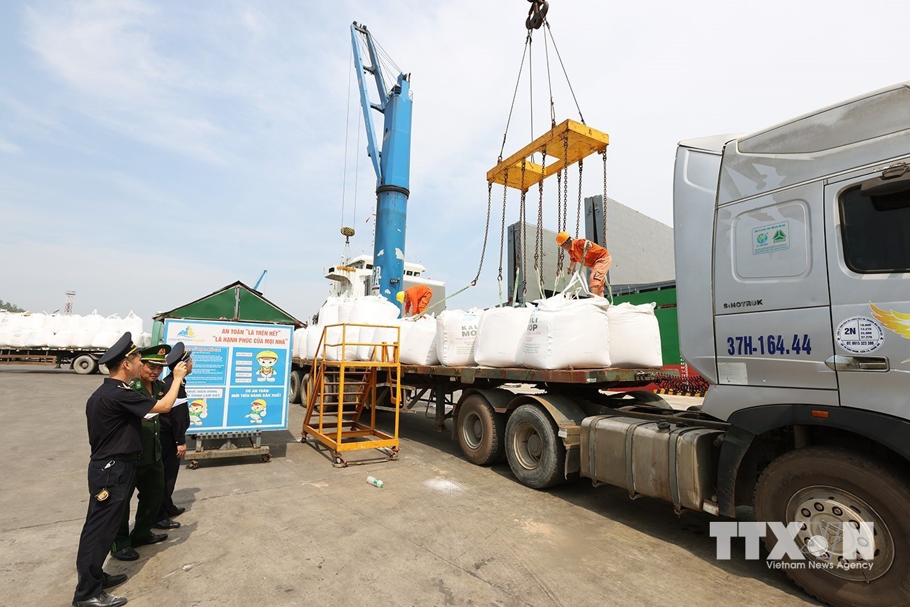 Lực lượng Hải quan phối hợp với các lực lượng giám sát đối với hàng hoá xuất khẩu tại Cảng Cửa Lò, tỉnh Nghệ An. (Ảnh: Vũ Sinh/ TTXVN)